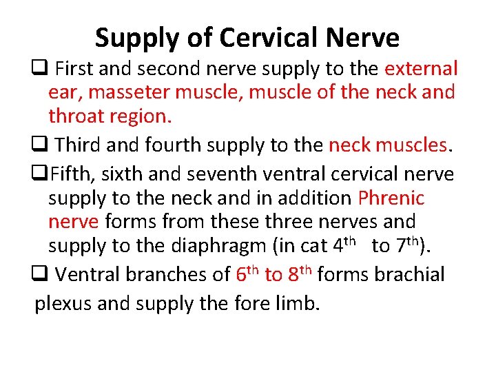 Supply of Cervical Nerve q First and second nerve supply to the external ear,