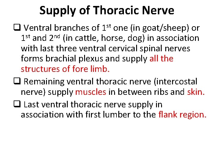 Supply of Thoracic Nerve q Ventral branches of 1 st one (in goat/sheep) or