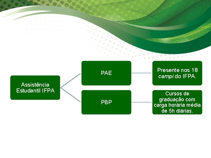 PAE Presente nos 18 campi do IFPA. PBP Cursos de graduação com carga horária