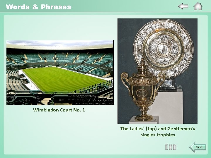 Words & Phrases Wimbledon Court No. 1 The Ladies’ (top) and Gentlemen’s singles trophies