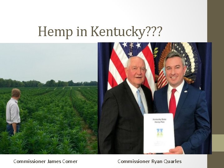 Hemp in Kentucky? ? ? Commissioner James Comer Commissioner Ryan Quarles 