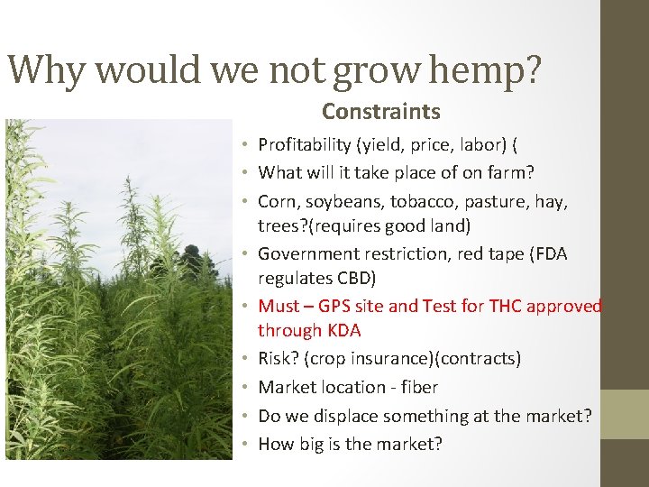 Why would we not grow hemp? Constraints • Profitability (yield, price, labor) ( • Why would we not grow hemp? Constraints • Profitability (yield, price, labor) ( •