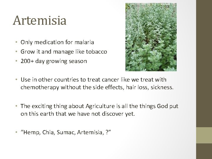 Artemisia • Only medication for malaria • Grow it and manage like tobacco •