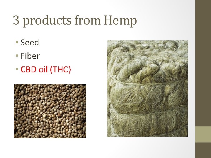 3 products from Hemp • Seed • Fiber • CBD oil (THC) 