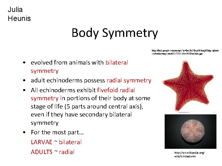 Julia Heunis Body Symmetry http: //tbn 2. google. com/images? q=tbn: Kr. JSbsj 0 l