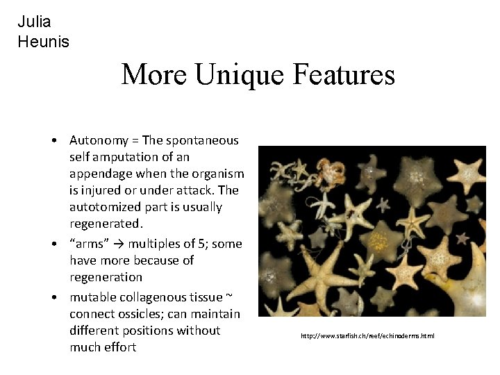 Julia Heunis More Unique Features • Autonomy = The spontaneous self amputation of an