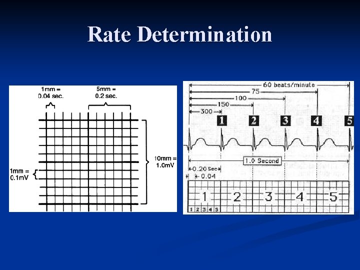 Rate Determination 