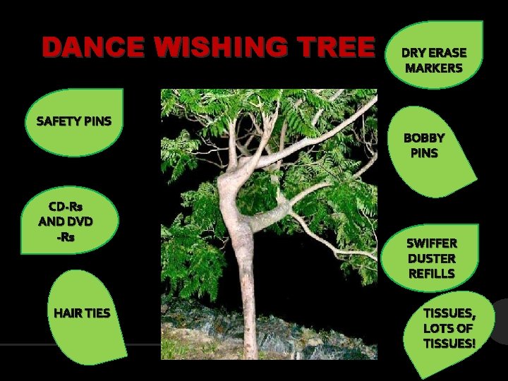 DANCE WISHING TREE DRY ERASE MARKERS SAFETY PINS BOBBY PINS CD-Rs AND DVD -Rs
