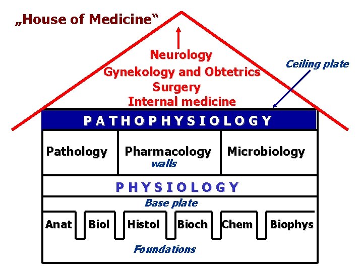 „House of Medicine“ Neurology Gynekology and Obtetrics Surgery Internal medicine Ceiling plate PATHOPHYSIOLOGY Pathology