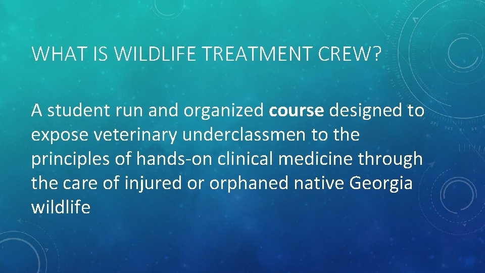 WHAT IS WILDLIFE TREATMENT CREW? A student run and organized course designed to expose