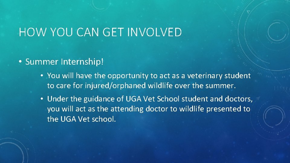 HOW YOU CAN GET INVOLVED • Summer Internship! • You will have the opportunity