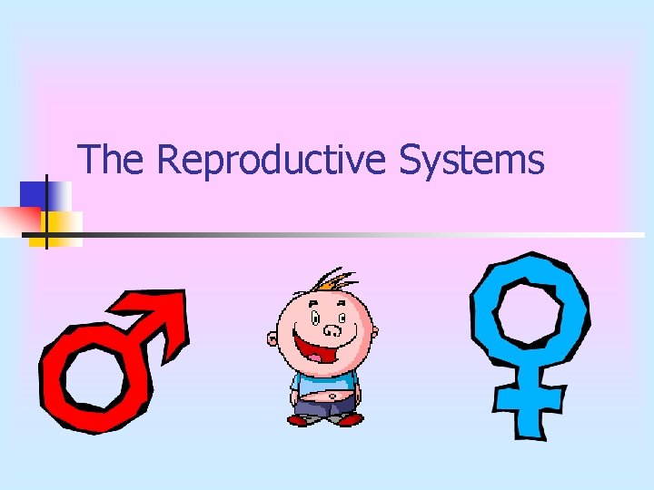 The Reproductive Systems 