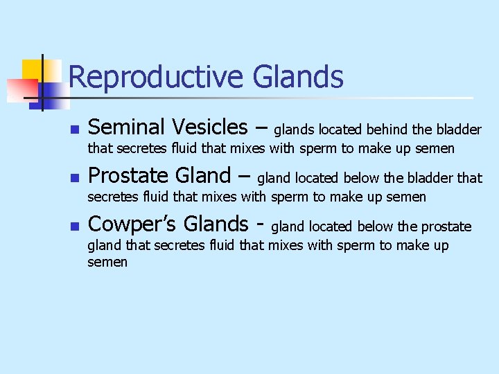 Reproductive Glands n Seminal Vesicles – n Prostate Gland – n Cowper’s Glands -