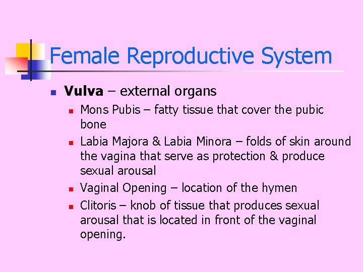 Female Reproductive System n Vulva – external organs n n Mons Pubis – fatty