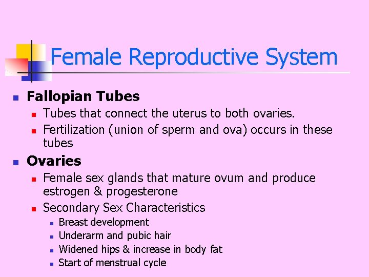 Female Reproductive System n Fallopian Tubes n n n Tubes that connect the uterus