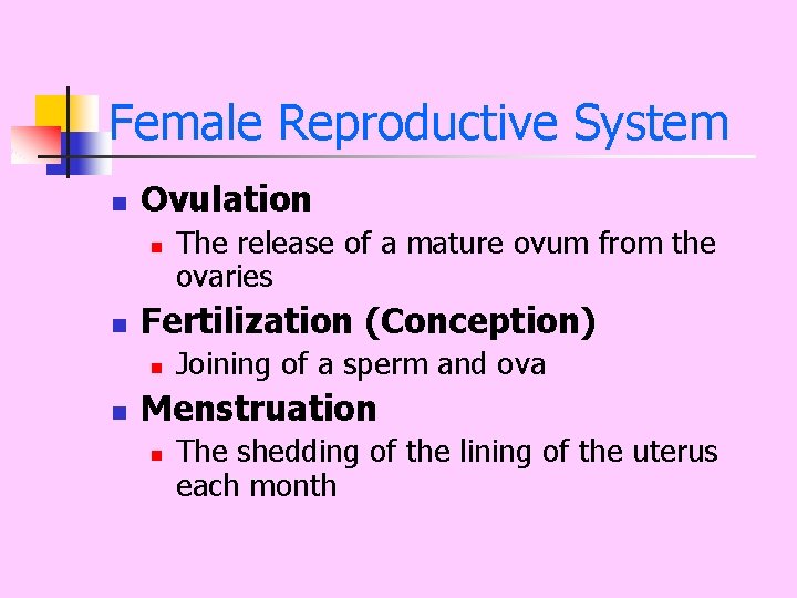 Female Reproductive System n Ovulation n n Fertilization (Conception) n n The release of