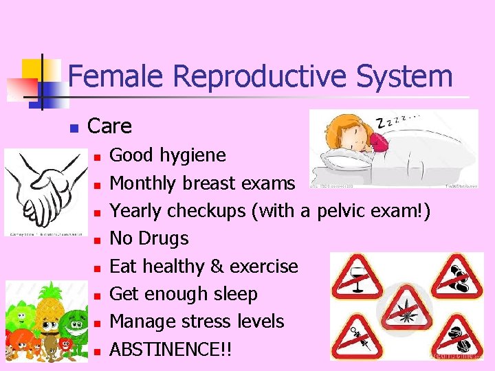 Female Reproductive System n Care n n n n Good hygiene Monthly breast exams