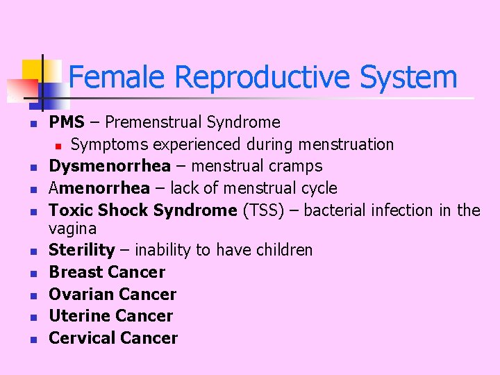 Female Reproductive System n n n n n PMS – Premenstrual Syndrome n Symptoms