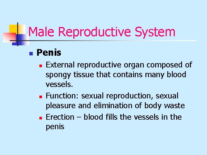 Male Reproductive System n Penis n n n External reproductive organ composed of spongy