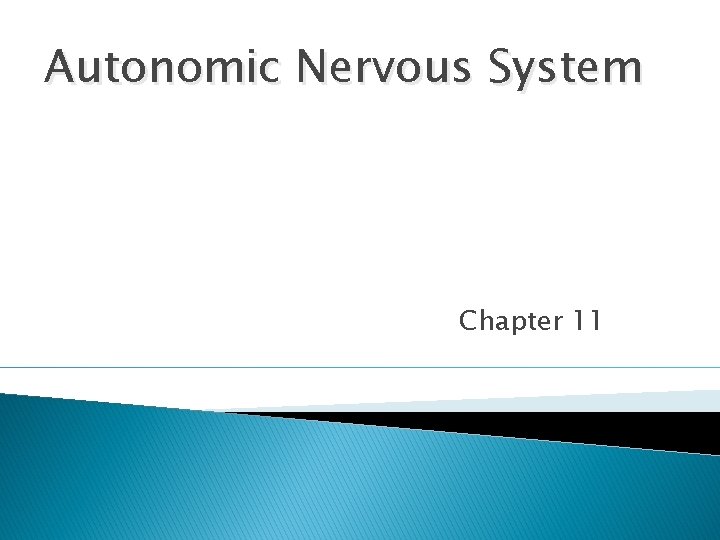 Autonomic Nervous System Chapter 11 