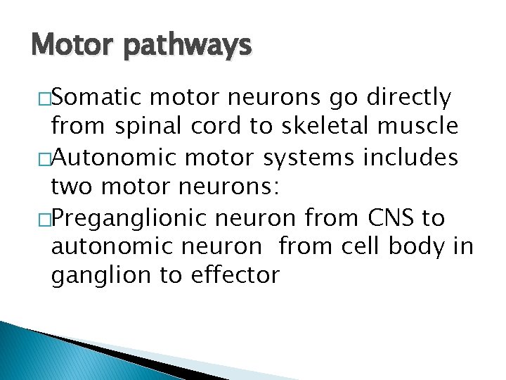 Motor pathways �Somatic motor neurons go directly from spinal cord to skeletal muscle �Autonomic