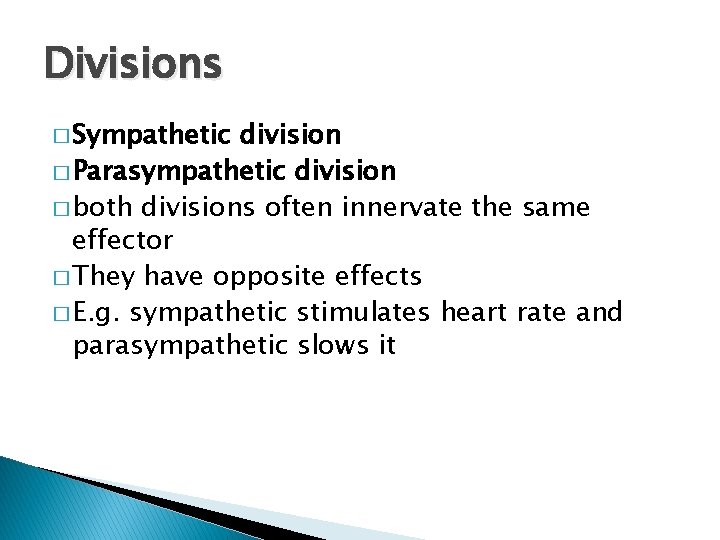 Divisions � Sympathetic division � Parasympathetic division � both divisions often innervate the same