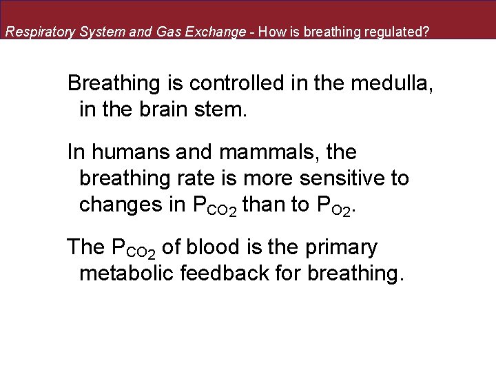 Respiratory System and Gas Exchange - How is breathing regulated? Breathing is controlled in