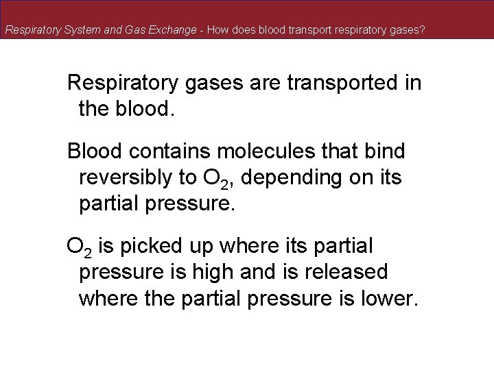 Respiratory System and Gas Exchange - How does blood transport respiratory gases? Respiratory gases