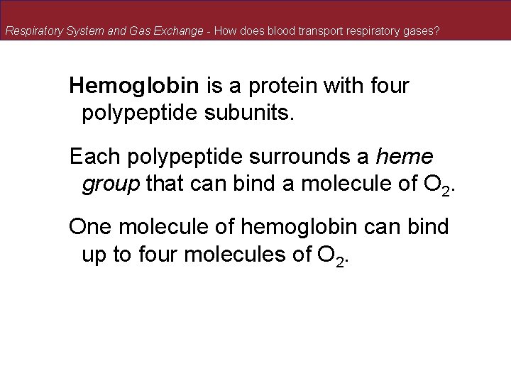Respiratory System and Gas Exchange - How does blood transport respiratory gases? Hemoglobin is