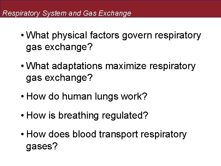 Respiratory System and Gas Exchange • What physical factors govern respiratory gas exchange? •