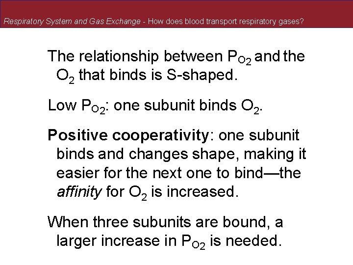 Respiratory System and Gas Exchange - How does blood transport respiratory gases? The relationship