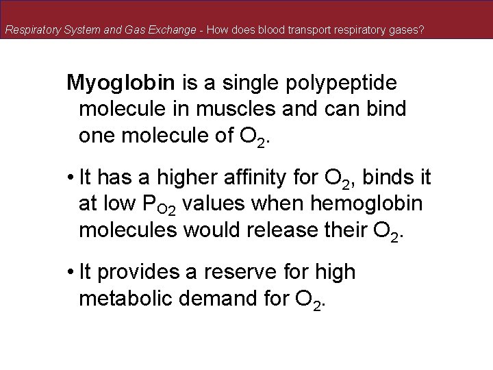 Respiratory System and Gas Exchange - How does blood transport respiratory gases? Myoglobin is