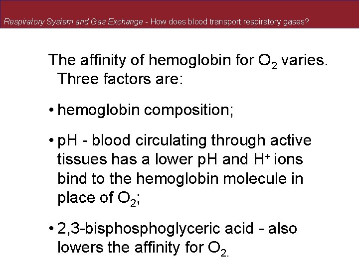 Respiratory System and Gas Exchange - How does blood transport respiratory gases? The affinity