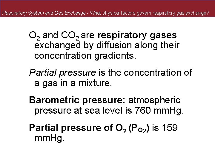 Respiratory System and Gas Exchange - What physical factors govern respiratory gas exchange? O