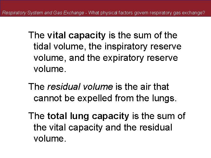 Respiratory System and Gas Exchange - What physical factors govern respiratory gas exchange? The