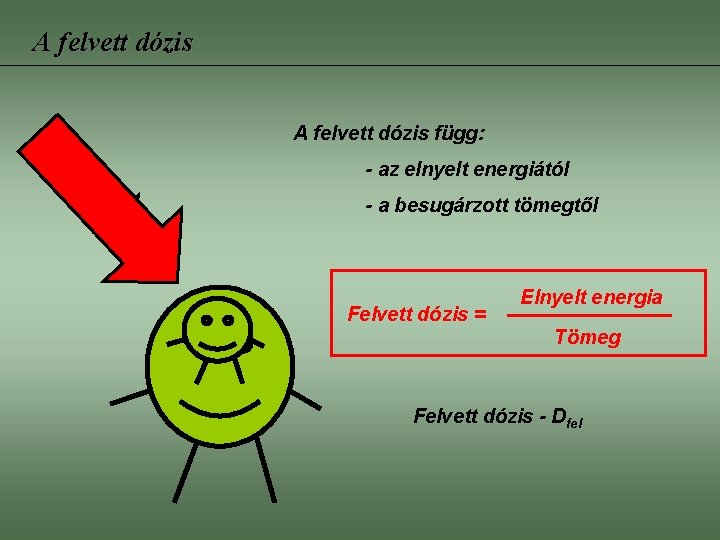 A felvett dózis függ: - az elnyelt energiától - a besugárzott tömegtől Felvett dózis