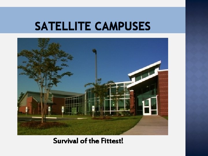 SATELLITE CAMPUSES Survival of the Fittest! 