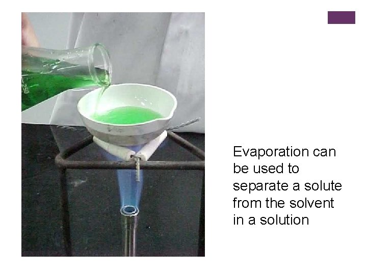 Evaporation can be used to separate a solute from the solvent in a solution