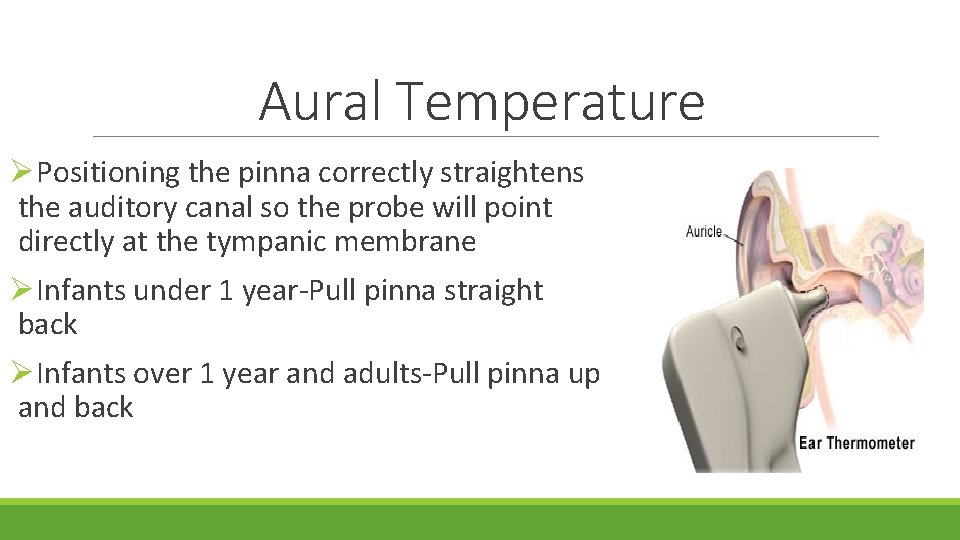 Aural Temperature ØPositioning the pinna correctly straightens the auditory canal so the probe will