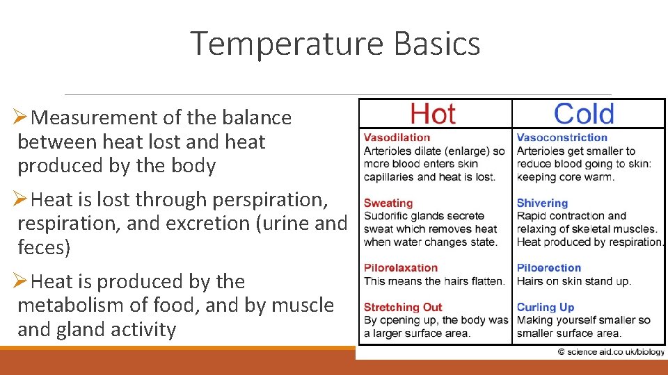 Temperature Basics ØMeasurement of the balance between heat lost and heat produced by the