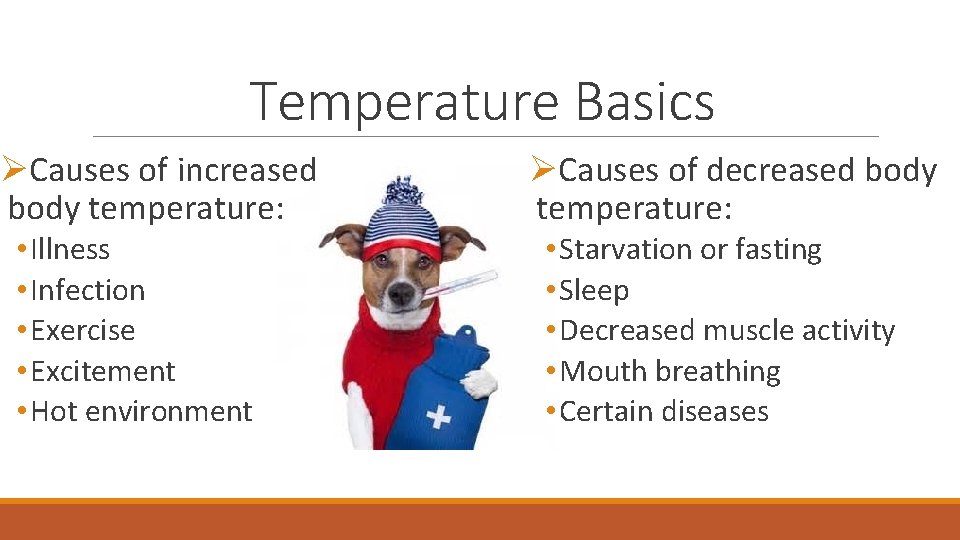 Temperature Basics ØCauses of increased body temperature: • Illness • Infection • Exercise •
