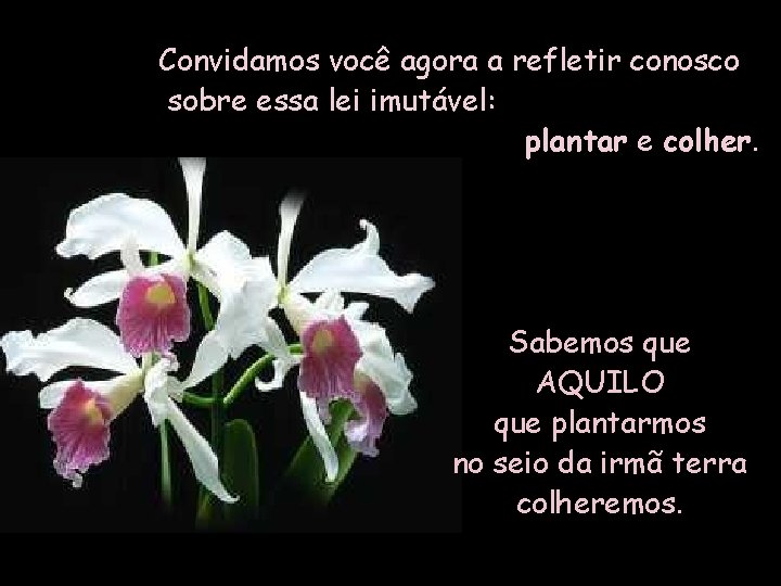 Convidamos você agora a refletir conosco sobre essa lei imutável: plantar e colher. Sabemos