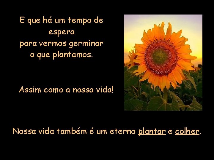 E que há um tempo de espera para vermos germinar o que plantamos. Assim