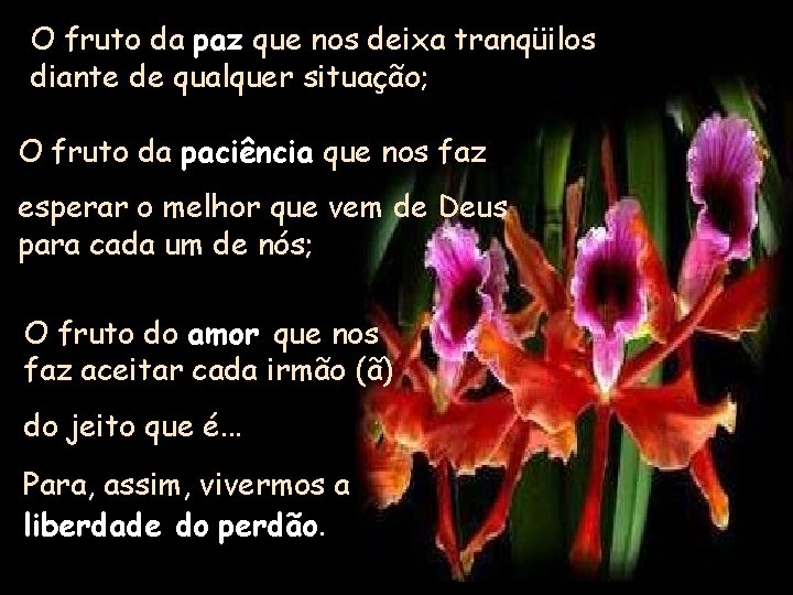 O fruto da paz que nos deixa tranqüilos diante de qualquer situação; O fruto