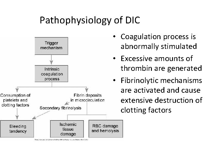 Pathophysiology of DIC • Coagulation process is abnormally stimulated • Excessive amounts of thrombin