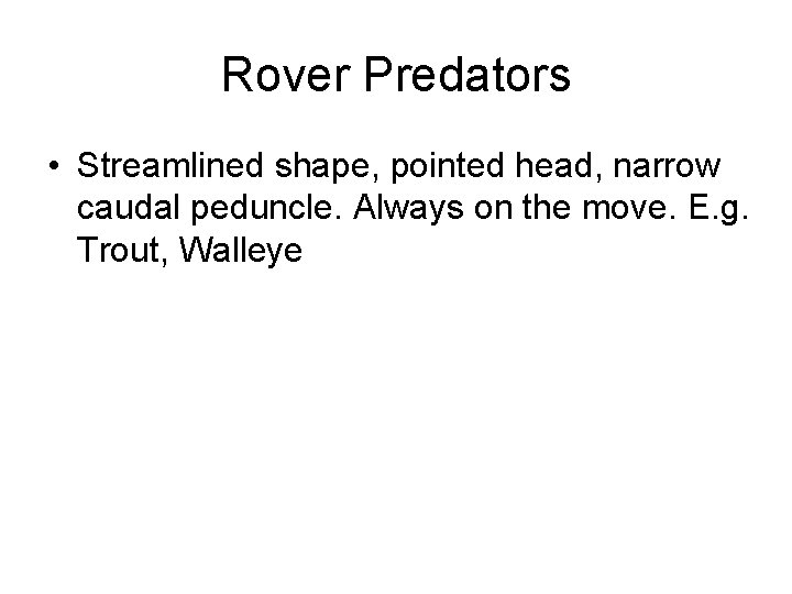 Rover Predators • Streamlined shape, pointed head, narrow caudal peduncle. Always on the move.