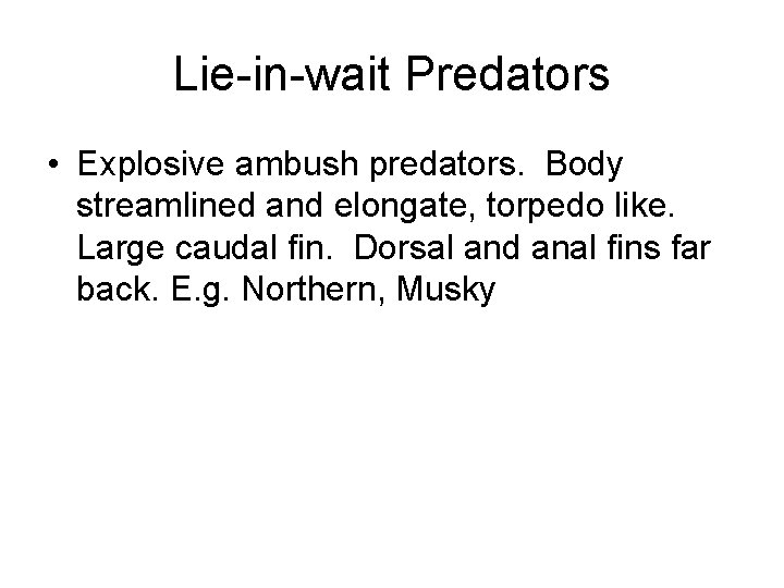 Lie-in-wait Predators • Explosive ambush predators. Body streamlined and elongate, torpedo like. Large caudal