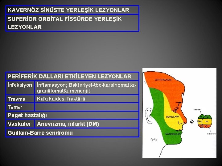 KAVERNÖZ SİNÜSTE YERLEŞİK LEZYONLAR SUPERİOR ORBİTAL FİSSÜRDE YERLEŞİK LEZYONLAR PERİFERİK DALLARI ETKİLEYEN LEZYONLAR İnfeksiyon KAVERNÖZ SİNÜSTE YERLEŞİK LEZYONLAR SUPERİOR ORBİTAL FİSSÜRDE YERLEŞİK LEZYONLAR PERİFERİK DALLARI ETKİLEYEN LEZYONLAR İnfeksiyon