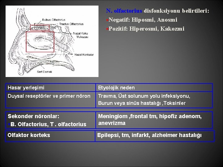 N. olfactorius disfonksiyonu belirtileri: §Negatif: Hiposmi, Anosmi §Pozitif: Hiperosmi, Kakozmi Hasar yerleşimi Etyolojik neden