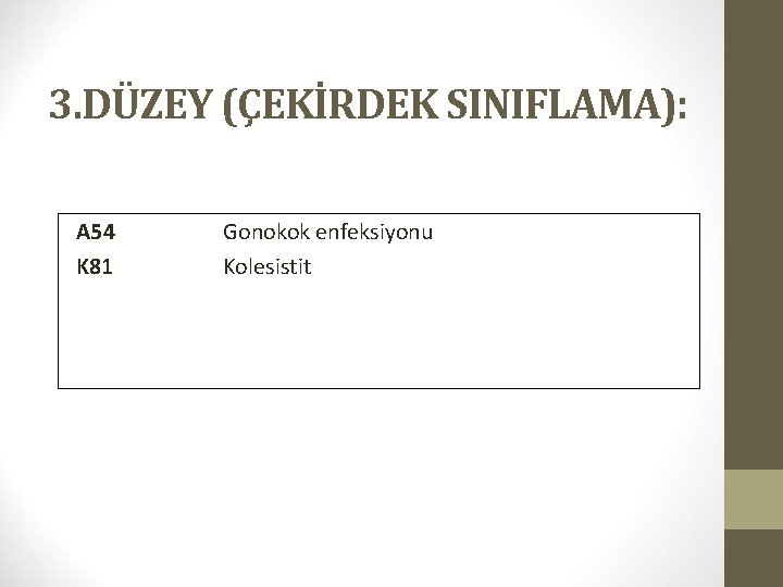 3. DÜZEY (ÇEKİRDEK SINIFLAMA): A 54 K 81 Gonokok enfeksiyonu Kolesistit 